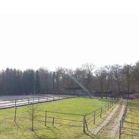 Kwatera prywatna Repos Rouge-plaisir Au Milieu Des Chevaux Kembs