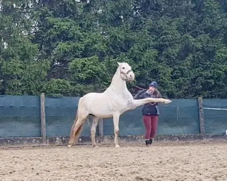 Kwatera prywatna Repos Rouge-plaisir Au Milieu Des Chevaux *