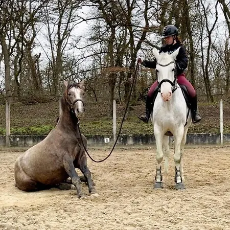 Kwatera prywatna Repos Rouge-plaisir Au Milieu Des Chevaux